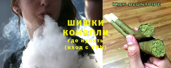 PSILOCYBIN Ростов