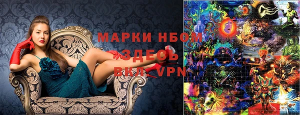гашик Новоузенск