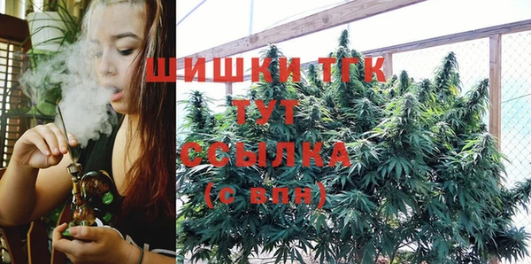 PSILOCYBIN Ростов