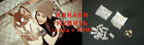 PSILOCYBIN Ростов
