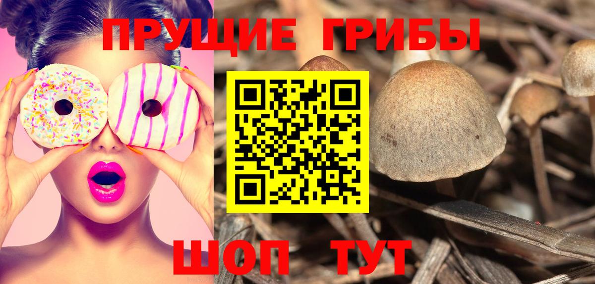 Псилоцибиновые грибы ЛСД Слободской