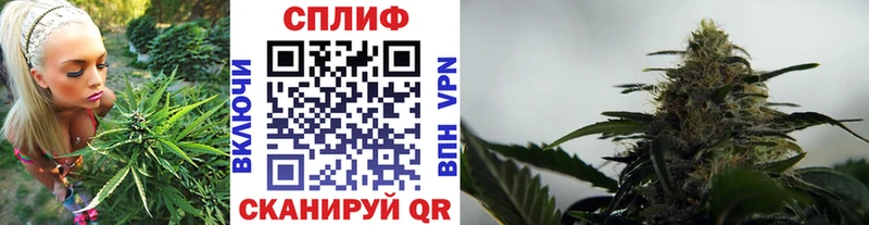 hydra ONION  где купить наркотик  Слободской  Шишки марихуана Amnesia 